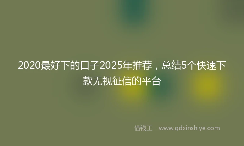 2020最好下的口子2025年推荐，总结5个快速下款无视征信的平台