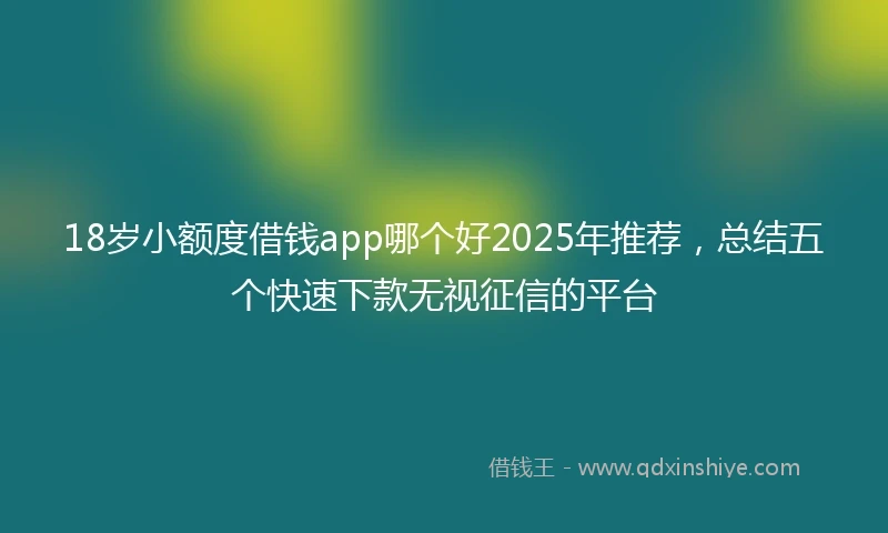 18岁小额度借钱app哪个好2025年推荐，总结五个快速下款无视征信的平台