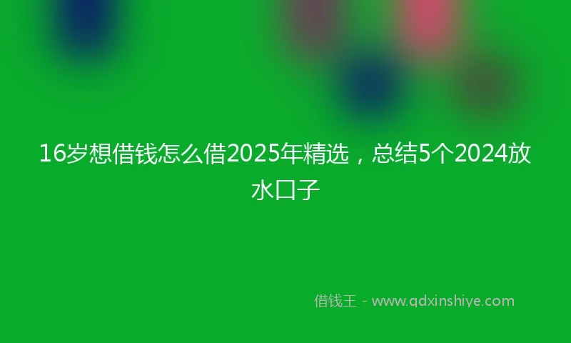 16岁想借钱怎么借2025年精选，总结5个2024放水口子