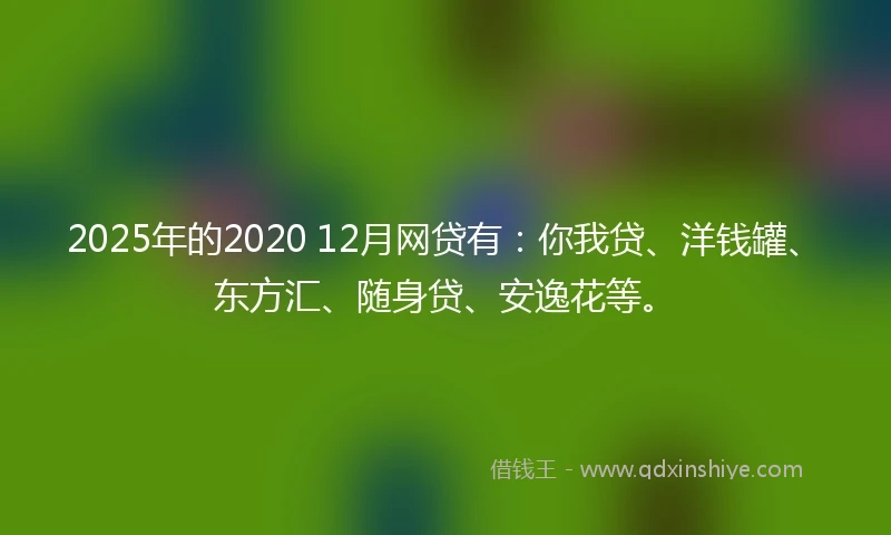 2025年的2020 12月网贷有：你我贷、洋钱罐、东方汇、随身贷、安逸花等。