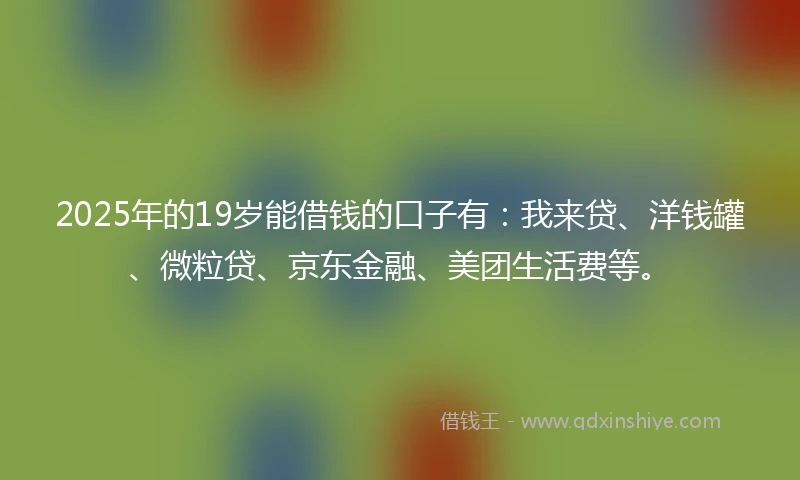 2025年的19岁能借钱的口子有：我来贷、洋钱罐、微粒贷、京东金融、美团生活费等。