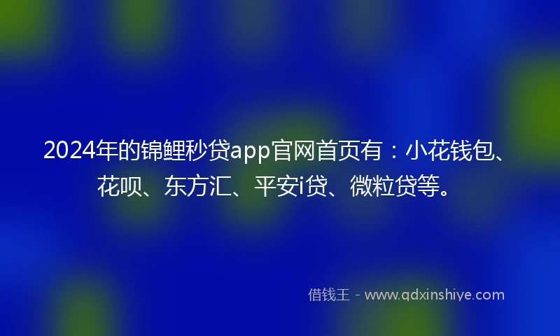 2024年的锦鲤秒贷app官网首页有：小花钱包、花呗、东方汇、平安i贷、微粒贷等。