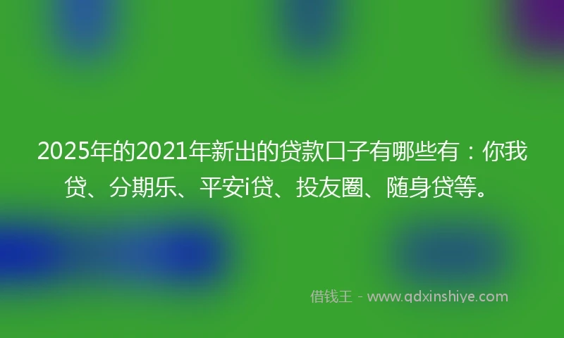 2025年的2021年新出的贷款口子有哪些有：你我贷、分期乐、平安i贷、投友圈、随身贷等。