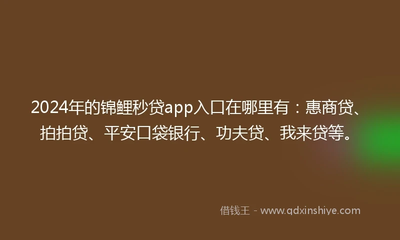 2024年的锦鲤秒贷app入口在哪里有：惠商贷、拍拍贷、平安口袋银行、功夫贷、我来贷等。