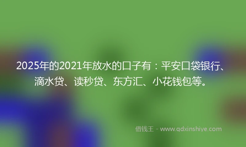 2025年的2021年放水的口子有：平安口袋银行、滴水贷、读秒贷、东方汇、小花钱包等。