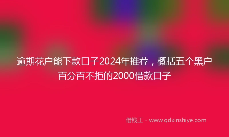 逾期花户能下款口子2024年推荐，概括五个黑户百分百不拒的2000借款口子