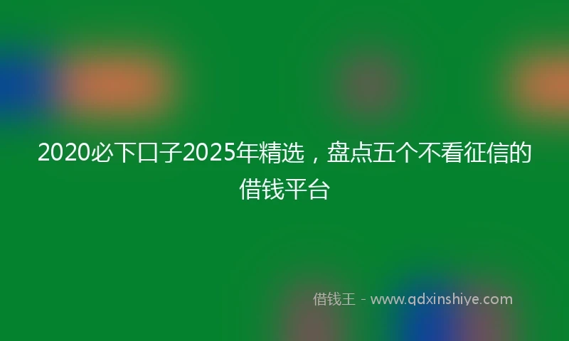 2020必下口子2025年精选，盘点五个不看征信的借钱平台