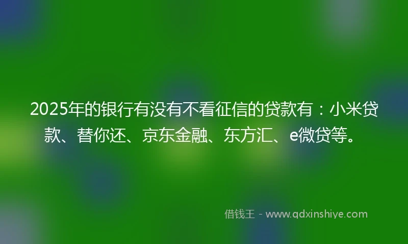 2025年的银行有没有不看征信的贷款有：小米贷款、替你还、京东金融、东方汇、e微贷等。