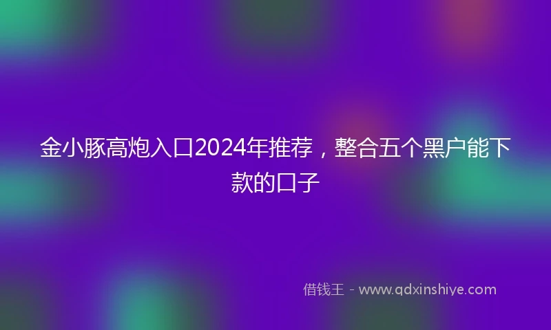 金小豚高炮入口2024年推荐，整合五个黑户能下款的口子