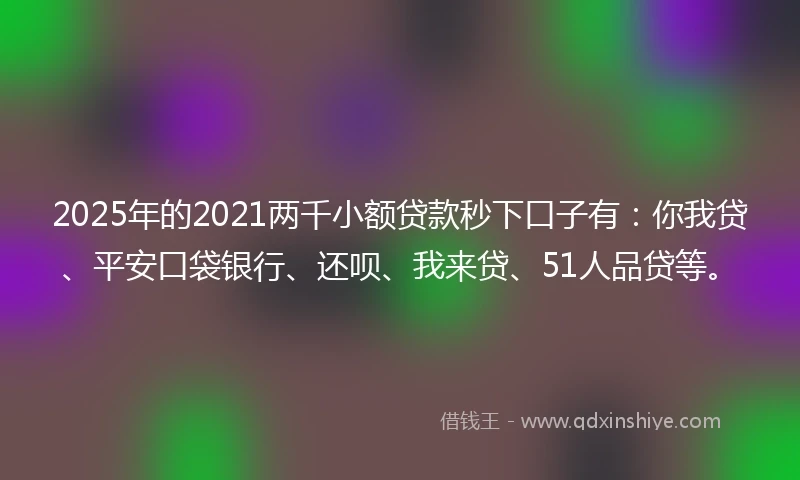 2025年的2021两千小额贷款秒下口子有：你我贷、平安口袋银行、还呗、我来贷、51人品贷等。