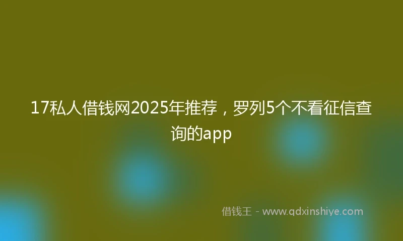 17私人借钱网2025年推荐，罗列5个不看征信查询的app