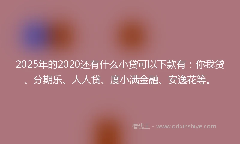 2025年的2020还有什么小贷可以下款有：你我贷、分期乐、人人贷、度小满金融、安逸花等。