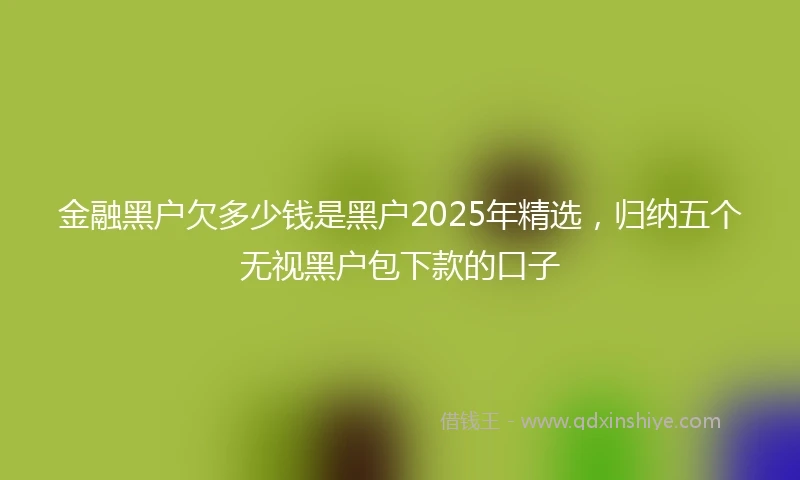 金融黑户欠多少钱是黑户2025年精选，归纳五个无视黑户包下款的口子