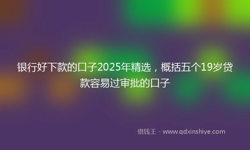 银行好下款的口子2025年精选，概括五个19岁贷款容易过审批的口子