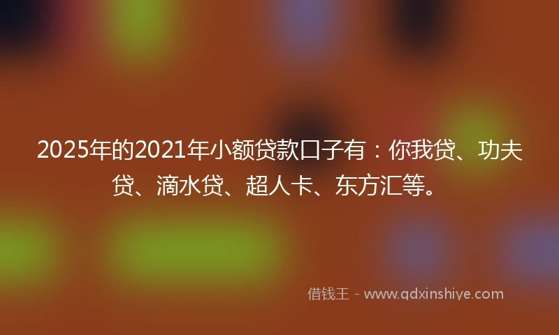 2025年的2021年小额贷款口子有：你我贷、功夫贷、滴水贷、超人卡、东方汇等。