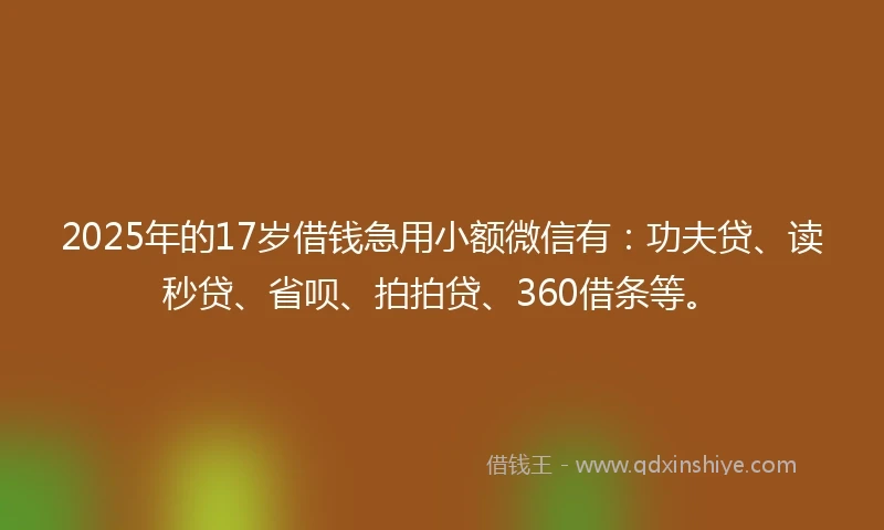 2025年的17岁借钱急用小额微信有：功夫贷、读秒贷、省呗、拍拍贷、360借条等。