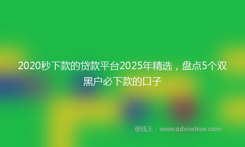 2020秒下款的贷款平台2025年精选，盘点5个双黑户必下款的口子