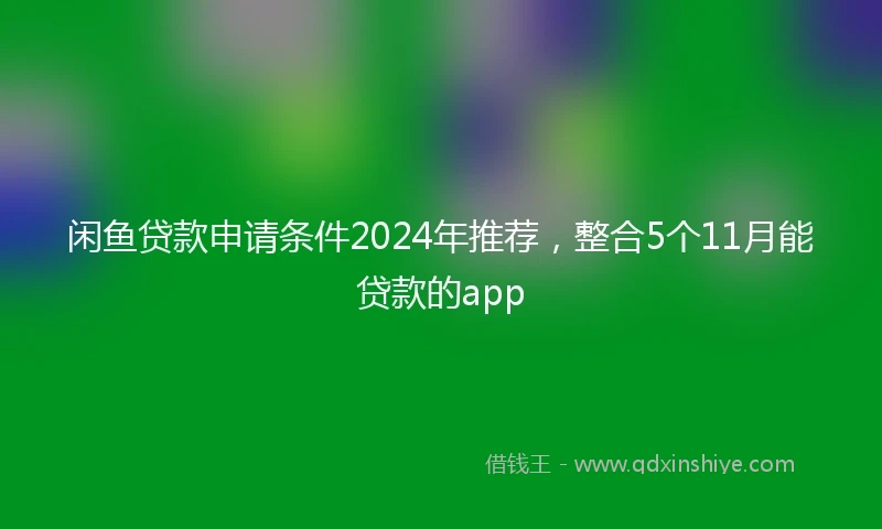 闲鱼贷款申请条件2024年推荐，整合5个11月能贷款的app