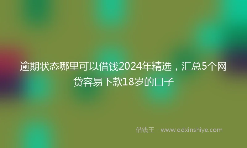 逾期状态哪里可以借钱2024年精选，汇总5个网贷容易下款18岁的口子