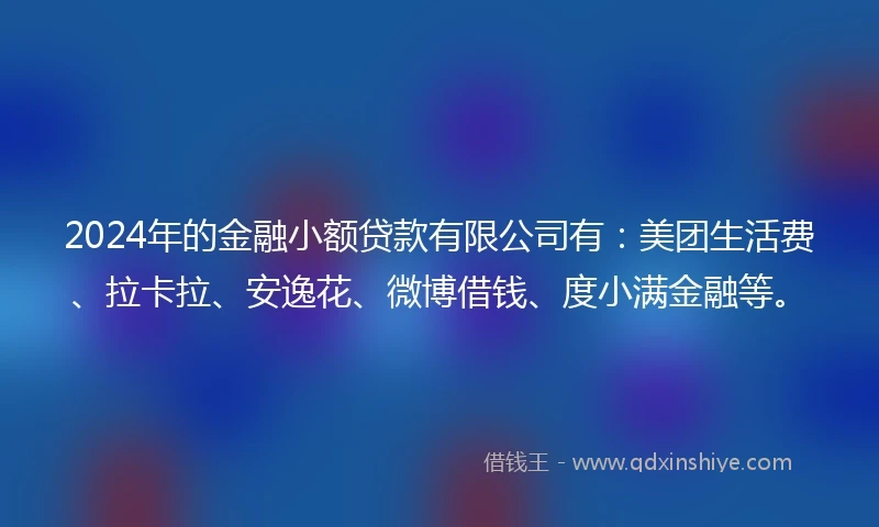 2024年的金融小额贷款有限公司有：美团生活费、拉卡拉、安逸花、微博借钱、度小满金融等。