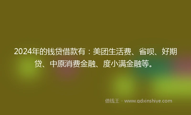 2024年的钱贷借款有：美团生活费、省呗、好期贷、中原消费金融、度小满金融等。