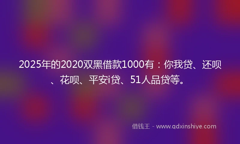 2025年的2020双黑借款1000有：你我贷、还呗、花呗、平安i贷、51人品贷等。