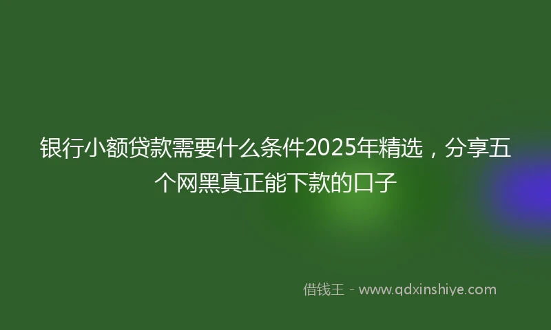 银行小额贷款需要什么条件2025年精选，分享五个网黑真正能下款的口子