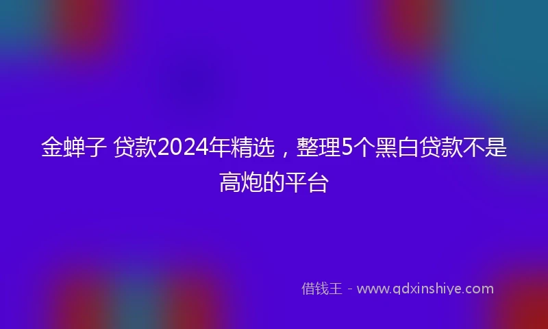 金蝉子 贷款2024年精选，整理5个黑白贷款不是高炮的平台