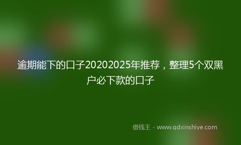 逾期能下的口子20202025年推荐，整理5个双黑户必下款的口子