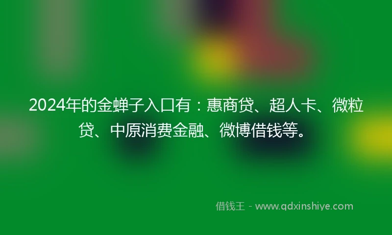 2024年的金蝉子入口有：惠商贷、超人卡、微粒贷、中原消费金融、微博借钱等。