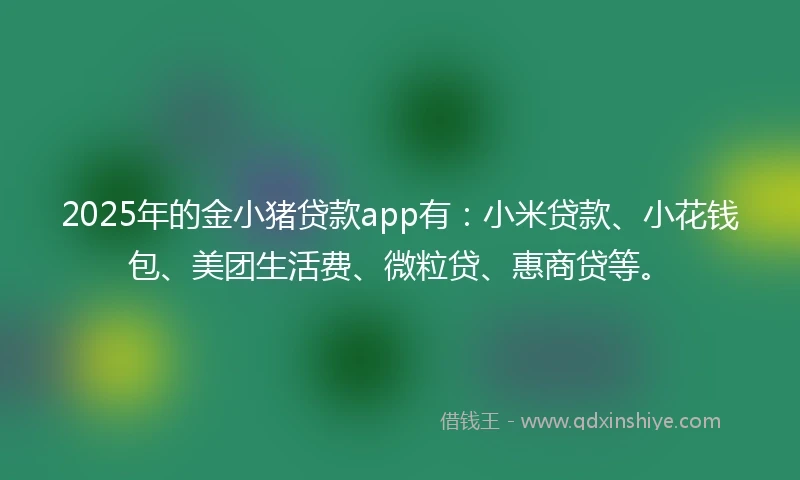 2025年的金小猪贷款app有：小米贷款、小花钱包、美团生活费、微粒贷、惠商贷等。
