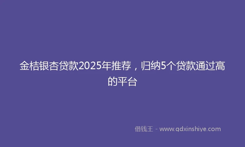 金桔银杏贷款2025年推荐，归纳5个贷款通过高的平台
