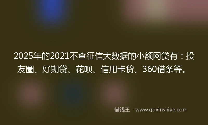 2025年的2021不查征信大数据的小额网贷有：投友圈、好期贷、花呗、信用卡贷、360借条等。