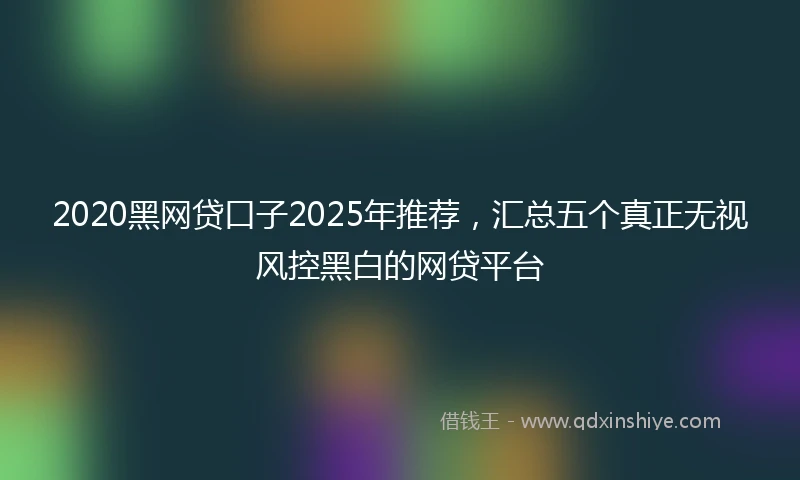2020黑网贷口子2025年推荐，汇总五个真正无视风控黑白的网贷平台