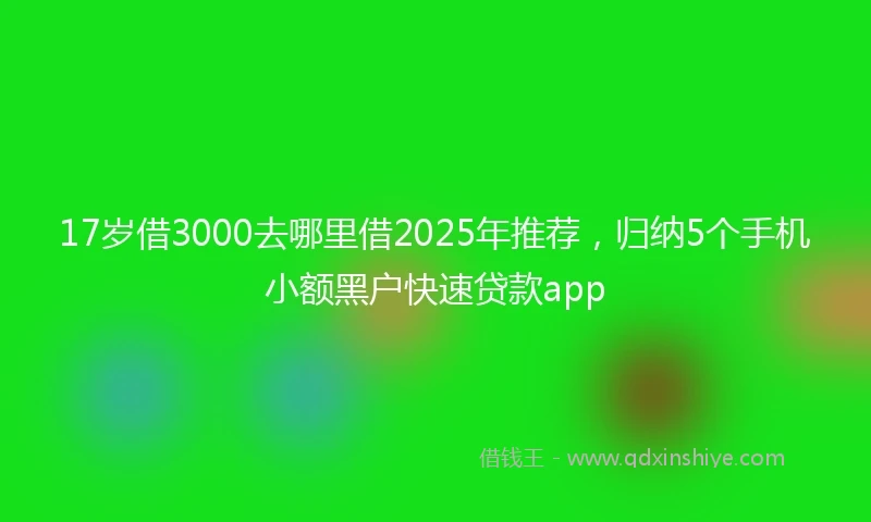 17岁借3000去哪里借2025年推荐，归纳5个手机小额黑户快速贷款app