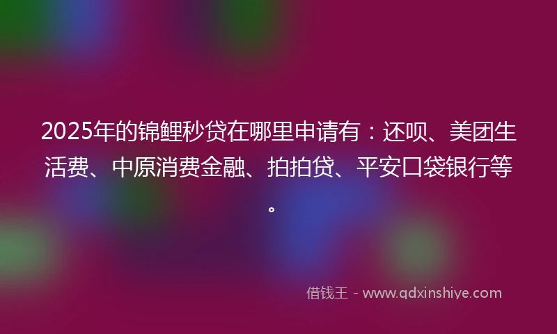 2025年的锦鲤秒贷在哪里申请有：还呗、美团生活费、中原消费金融、拍拍贷、平安口袋银行等。
