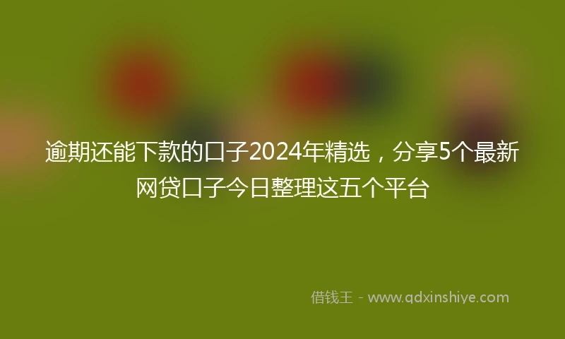 逾期还能下款的口子2024年精选，分享5个最新网贷口子今日整理这五个平台