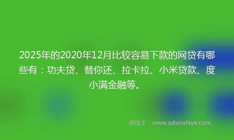 2025年的2020年12月比较容易下款的网贷有哪些有：功夫贷、替你还、拉卡拉、小米贷款、度小满金融等。