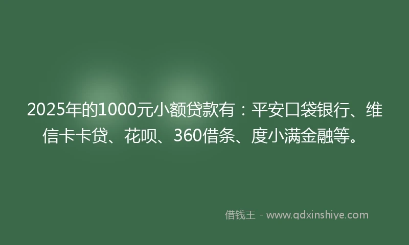 2025年的1000元小额贷款有：平安口袋银行、维信卡卡贷、花呗、360借条、度小满金融等。