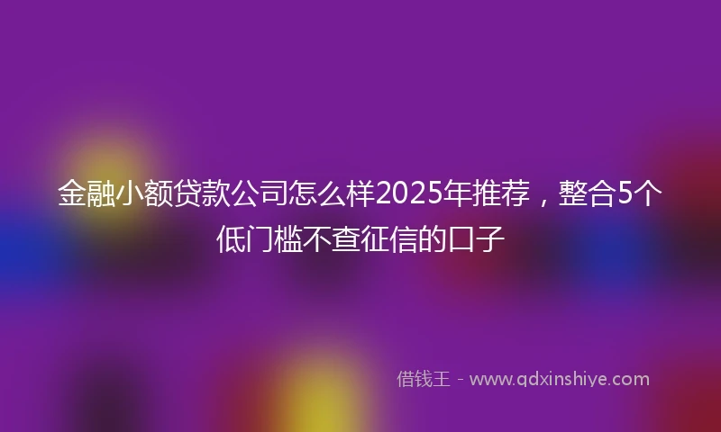 金融小额贷款公司怎么样2025年推荐，整合5个低门槛不查征信的口子