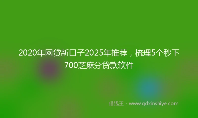 2020年网贷新口子2025年推荐，梳理5个秒下700芝麻分贷款软件