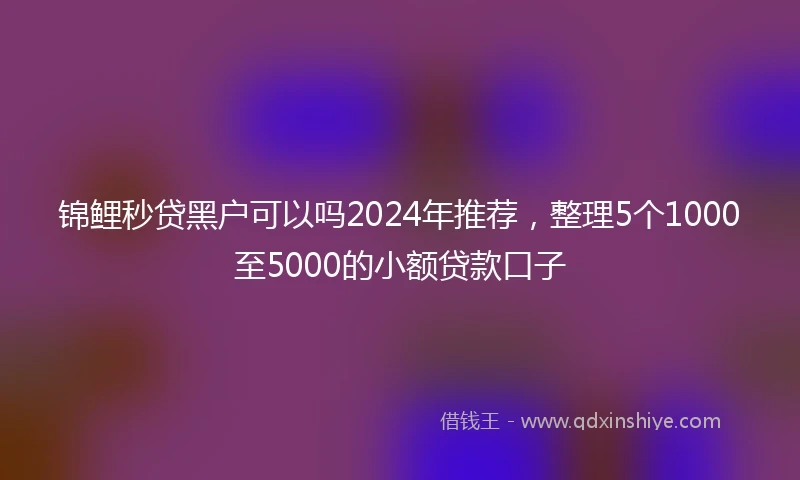 锦鲤秒贷黑户可以吗2024年推荐，整理5个1000至5000的小额贷款口子