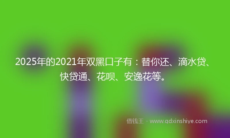 2025年的2021年双黑口子有：替你还、滴水贷、快贷通、花呗、安逸花等。