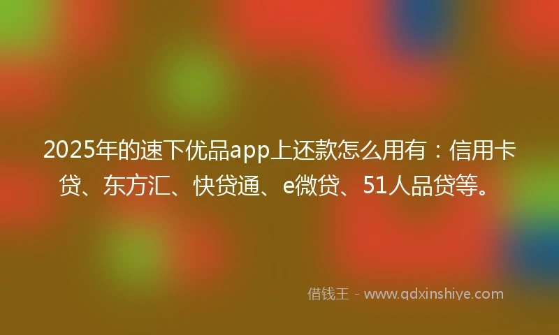 2025年的速下优品app上还款怎么用有：信用卡贷、东方汇、快贷通、e微贷、51人品贷等。
