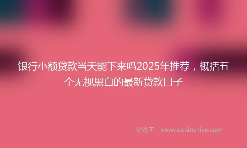 银行小额贷款当天能下来吗2025年推荐，概括五个无视黑白的最新贷款口子