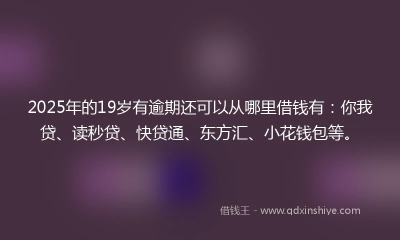 2025年的19岁有逾期还可以从哪里借钱有：你我贷、读秒贷、快贷通、东方汇、小花钱包等。