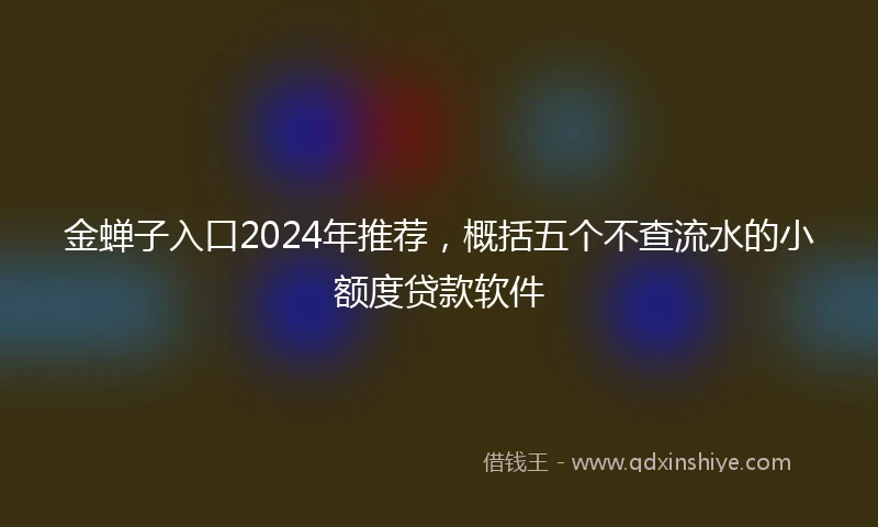 金蝉子入口2024年推荐，概括五个不查流水的小额度贷款软件