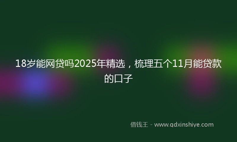 18岁能网贷吗2025年精选，梳理五个11月能贷款的口子
