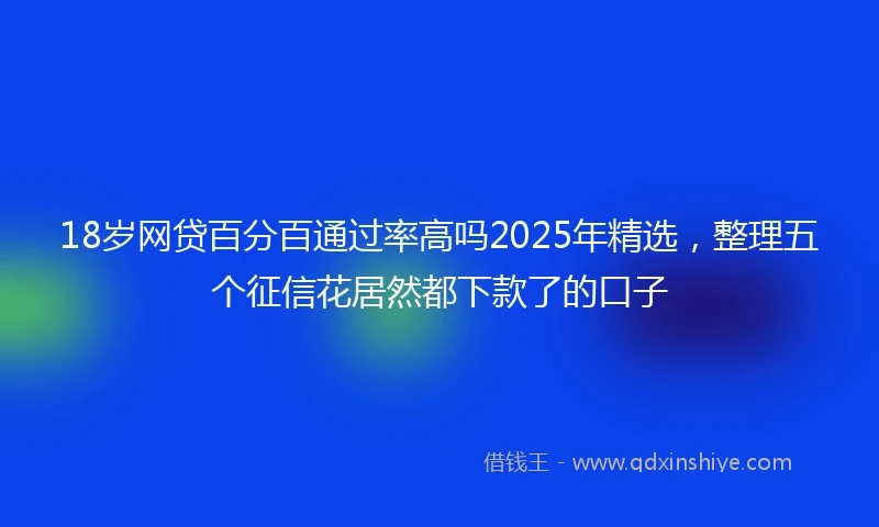 18岁网贷百分百通过率高吗2025年精选，整理五个征信花居然都下款了的口子