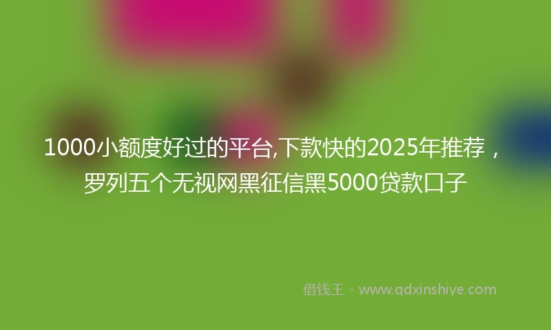 1000小额度好过的平台,下款快的2025年推荐，罗列五个无视网黑征信黑5000贷款口子